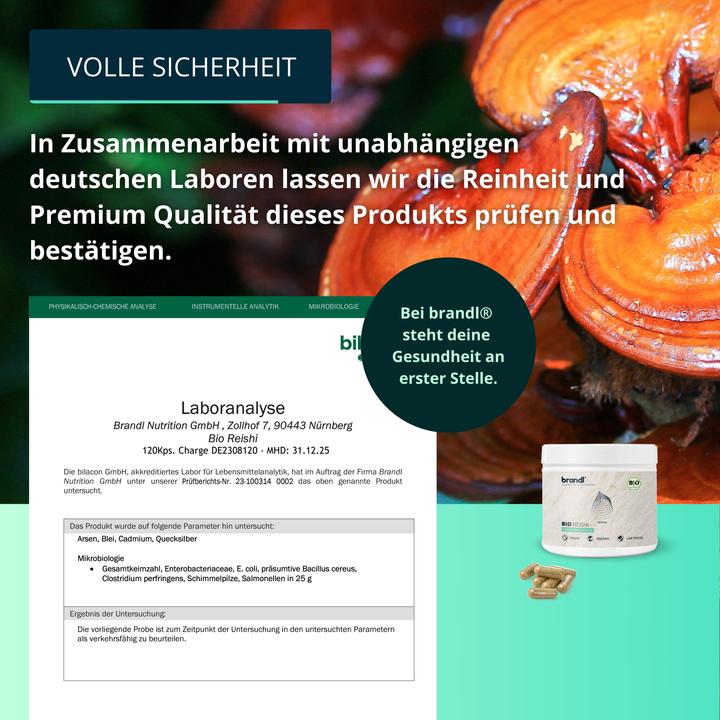 Produktbild Brandl Vitalpilz Vegan (1 Stück, Kapseln, 95 g)