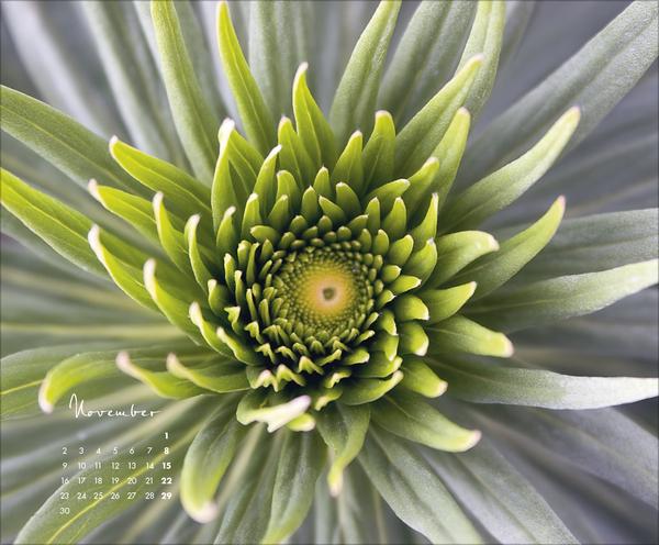 Produktbild FloralArt2026 (Querformat)