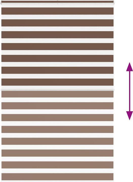 Produktbild vidaXL Zebra-Jalousie (145 x 200 cm)