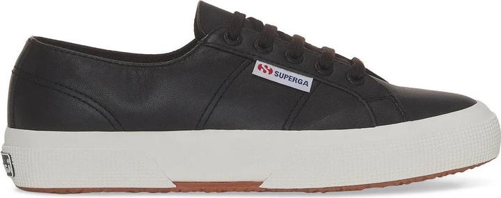 Matt Schwarz, Bristol Schwarz, Avorio