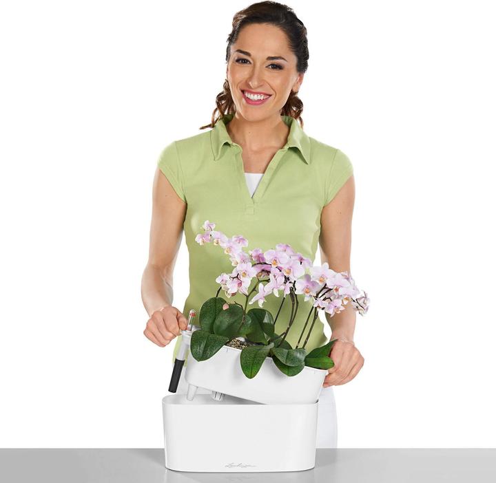 Produktbild Lechuza Delta (30 x 11 x 13 cm)