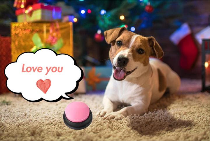 Produktbild Suba Buzzer mit Aufnahmefunktion, 4 Stück (Beschäftigungsspielzeug Hund)