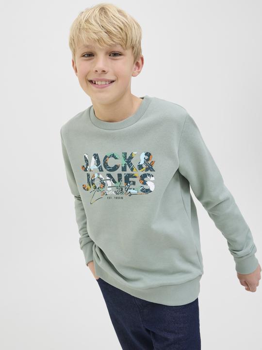 Produktbild Jack & Jones Logo Sweatshirt Sweatshirt (176)