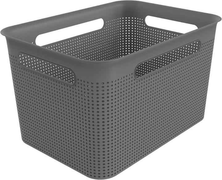 Actual product image Rotho Breezes (1 x, 26.2 x 36 cm)