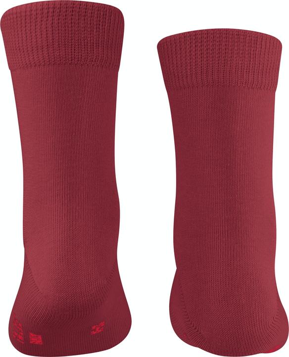 Actual product image Falke Family SO (Single pack, 23 - 26)