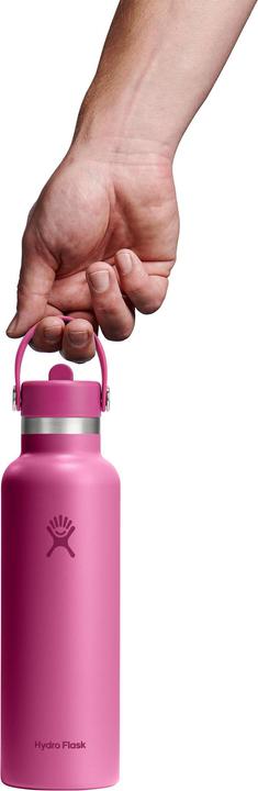 Produktbild Hydro Flask Flasche Standard Mouth Flex Straw Cap Reef (0.62 l)
