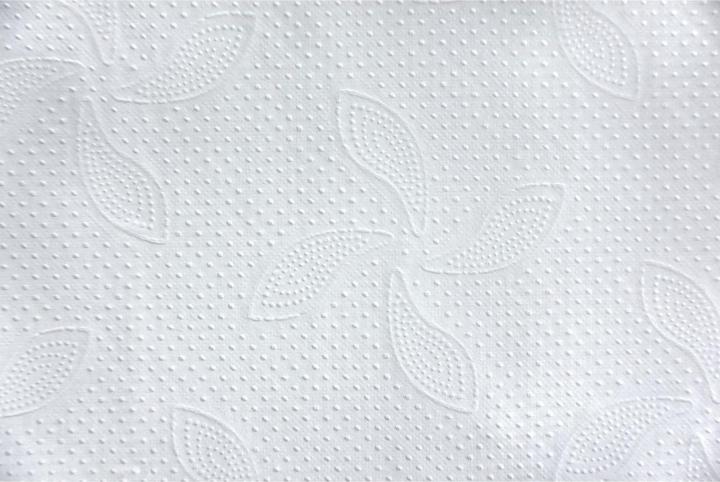 Actual product image Katrin Towels W-Fold Interfold Classic Non Stop L 2 (3000 x)