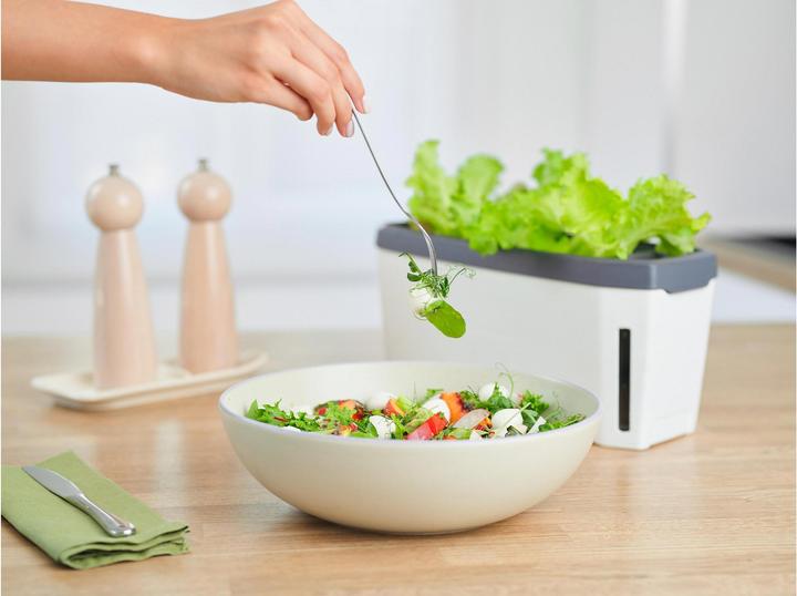 Actual product image Gusta Garden Kräutertopf HARRY HERBS mit Haube, Weiss (36.50 x 15 x 25 cm)