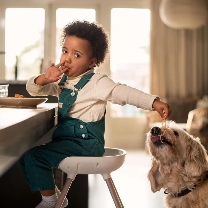 Image du produit Maxi-Cosi Chaise haute Moa 4-en-1 (Chaise haute)