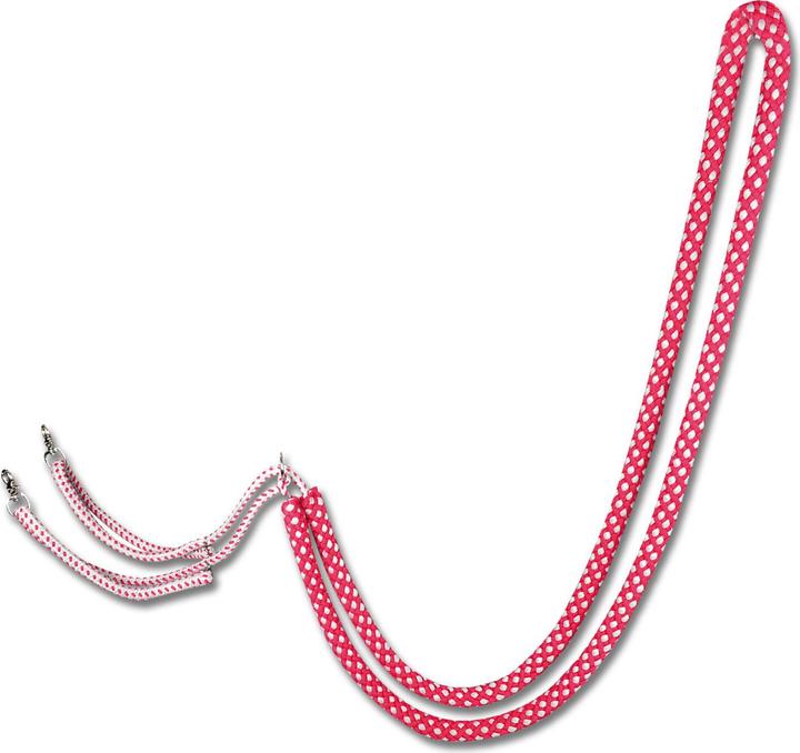 Waldhausen Aide à la longe