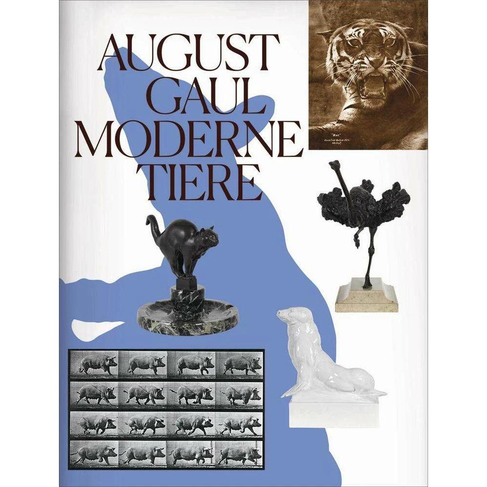 August Gaul, Sachbücher von Nina Zimmer, Katharina Lee Chichester