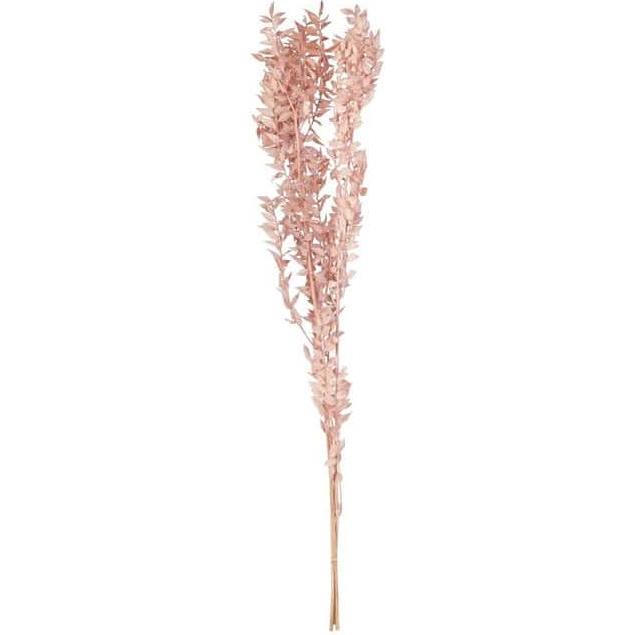 Philippe, Kunstpflanzen, Ruscus - rosa - ca. 70 cm (70 cm)