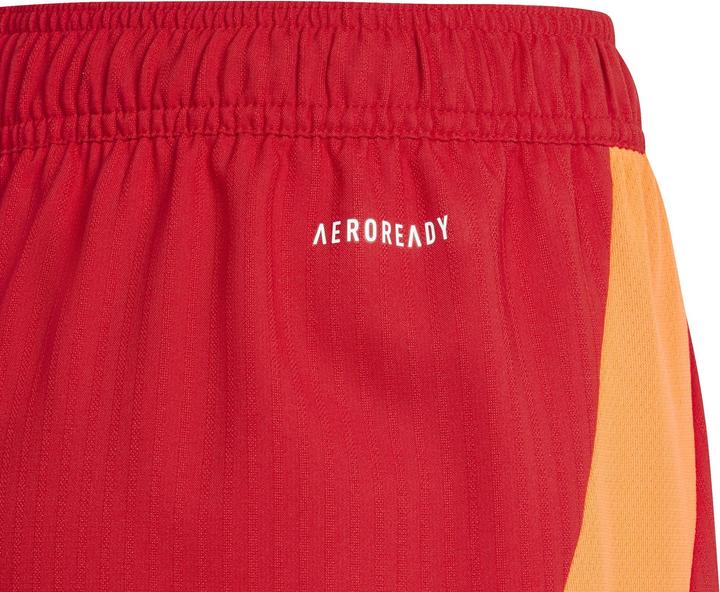 Produktbild adidas TIRO24 C M SHOY (164)
