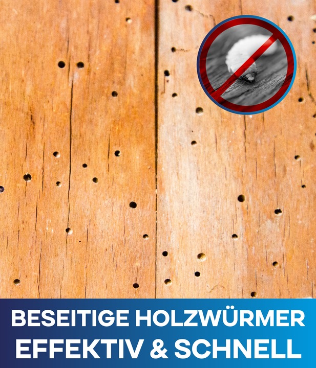 Produktbild Plid Holzwurmtod 2,5l für ca. 9m² + Pinselset 3-tlg. / Holzschutz Holzwurmbekämpfung (Farblos, 2.50 l)