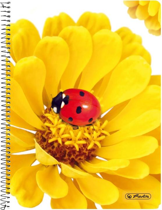 Actual product image Herlitz College notepad A5/160BL assorted (A5, Checked, No binding)