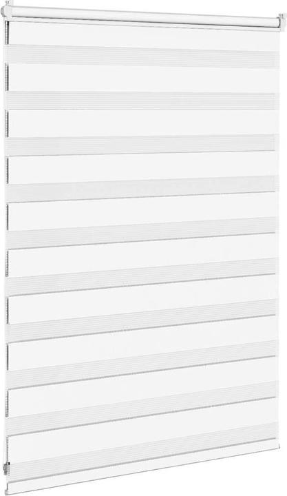 Produktbild vidaXL Zebra-Jalousie (110 x 100 cm)