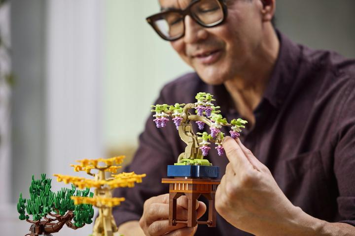 Produktbild LEGO Mini-Bonsais Set (10373, LEGO Botanicals)