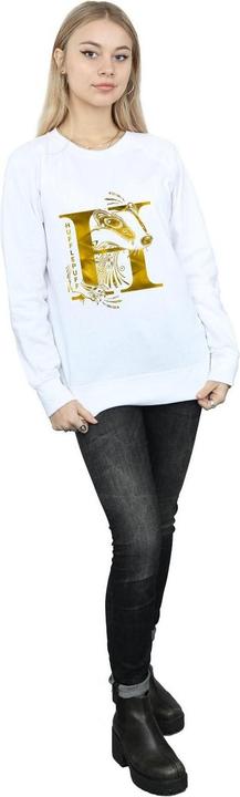 Actual product image Womens/Ladies Hufflepuff Badger Sweatshirt (L)