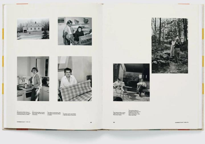 Immagine prodotto Anni & Josef Albers (Inglese, Nicholas Fox Weber, 2020)