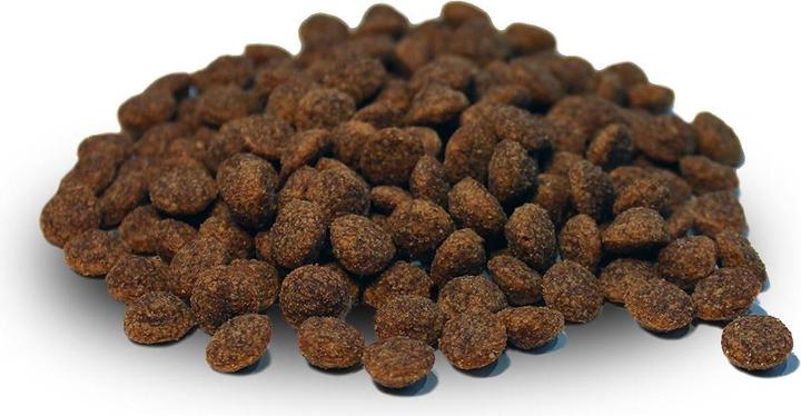 Produktbild Dr. Berg Trockenfutter Felikatessen Huhn+Lachs, 1 kg (Adult, 1 Stk., 1000 g)