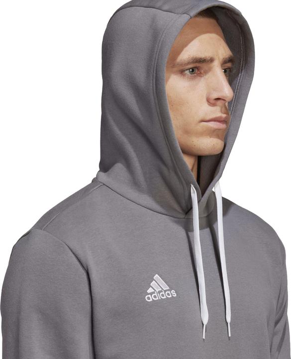 Actual product image adidas Entrada 22 hoodie men (XS)