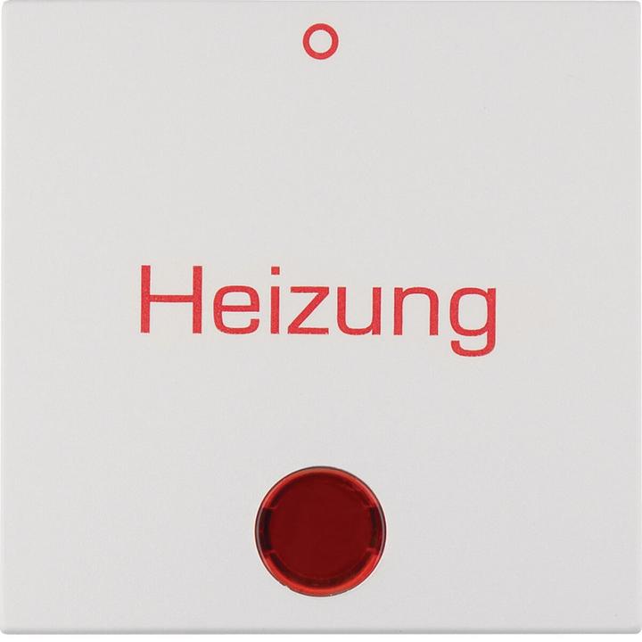 Actual product image Berker 16218909