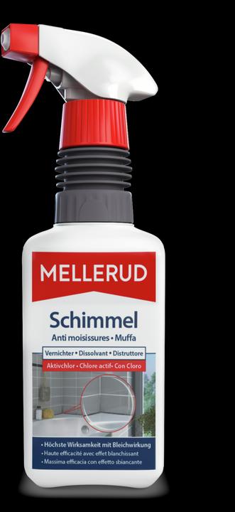 Actual product image