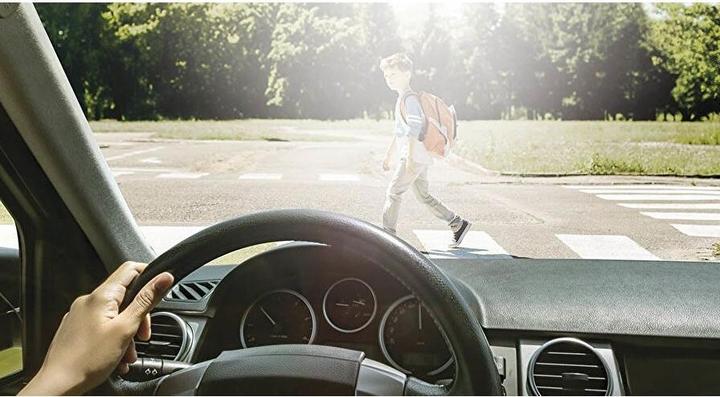 Actual product image Wedo Wear Over sunglasses