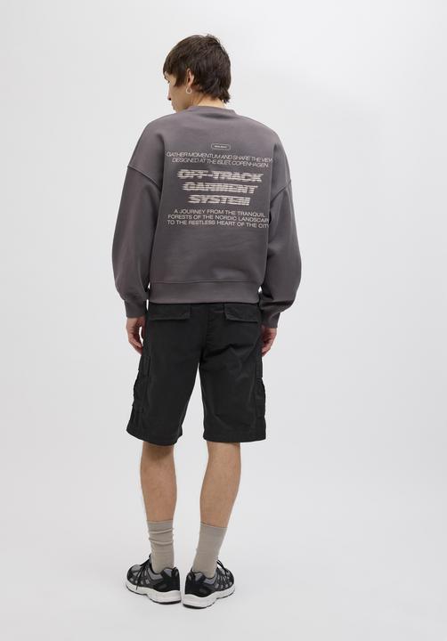 Actual product image Jack & Jones Cargo Shorts (L)