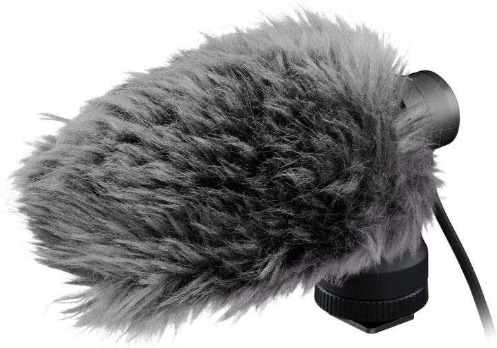 Actual product image Canon DM-E100