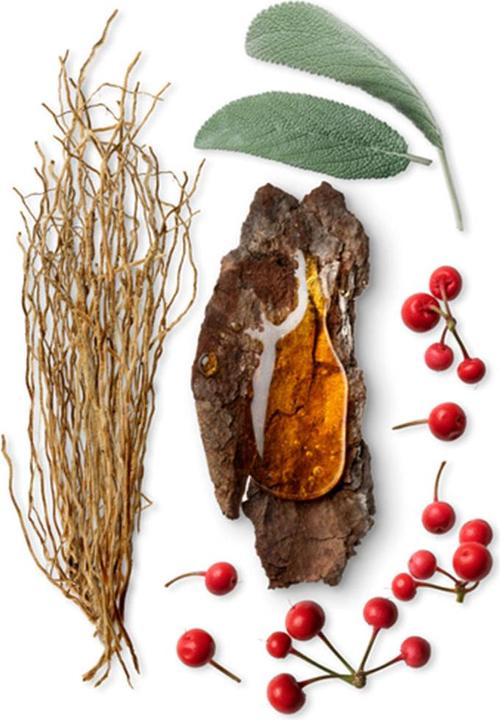 Actual product image Atkinsons James (Eau de parfum, 100 ml)