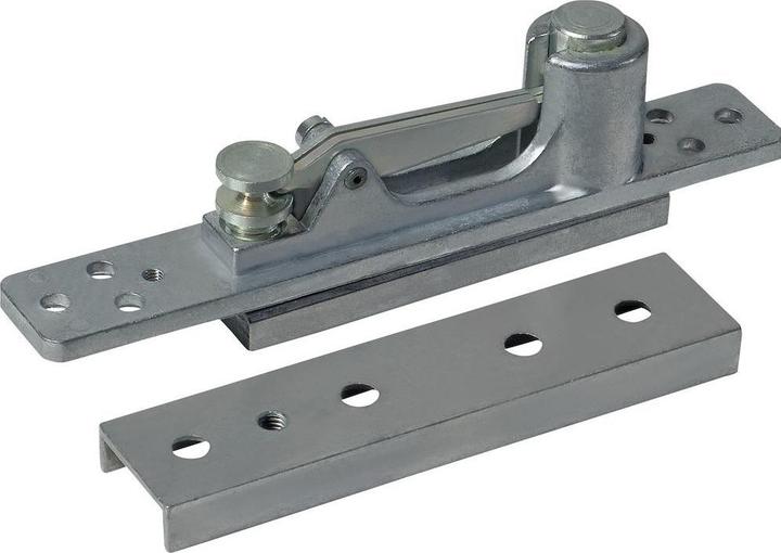 Actual product image Dormakaba Pivot hinges for swing doors (Entrance door, French window, Room door, Wooden door, Indoor)