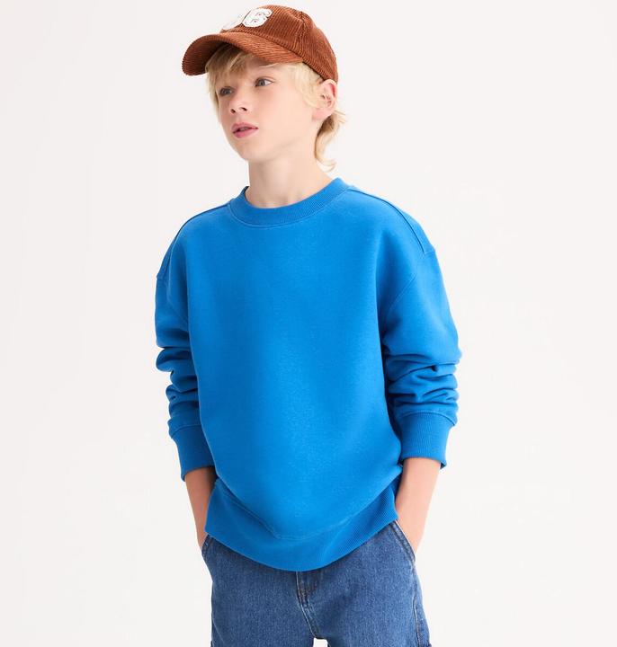 Produktbild La Redoute Collections Sweatshirt mit Rundhalsausschnitt (80)