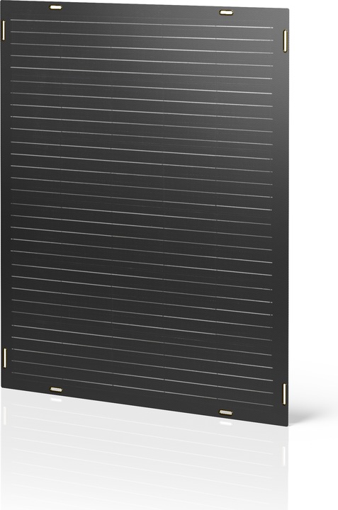 Actual product image Paua Balcony power plant (600 W)