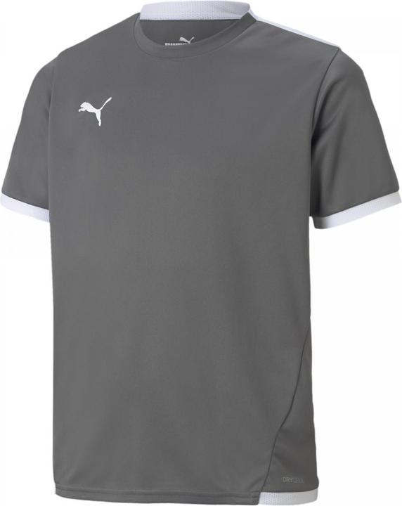 Actual product image Puma teamLIGA Jersey Jr-704925 (128)