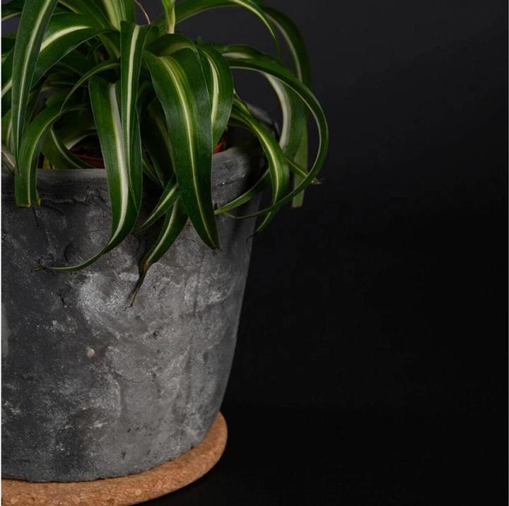 Produktbild Esschert Design Topfuntersetzer XL, 18 cm, Braun (1 x, Pfannenuntersetzer)