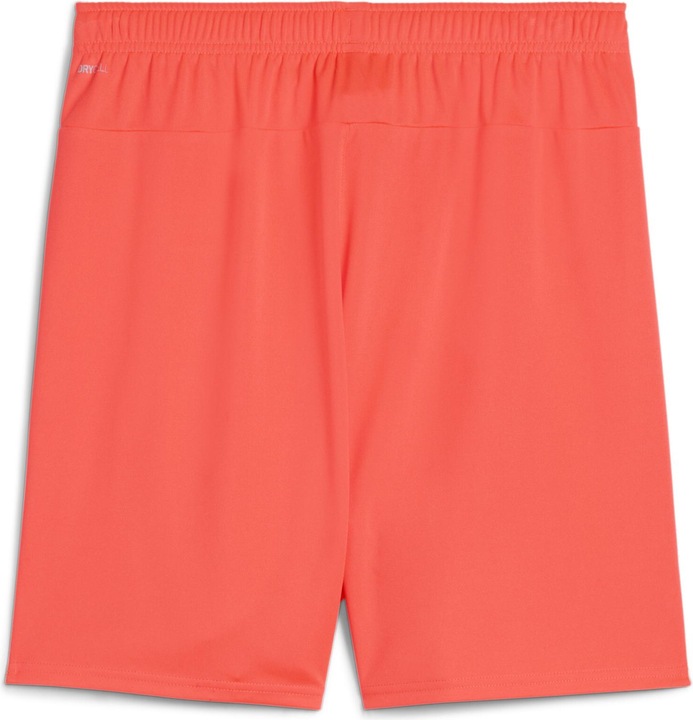 Actual product image Puma teamGOAL shorts (XL)