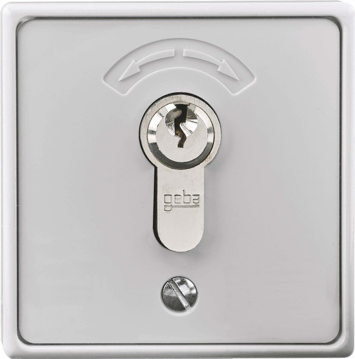 Image du produit Rademacher Interrupteur à clé AP 4596