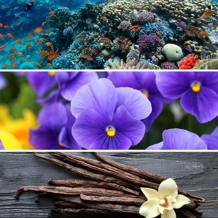 Immagine prodotto Giardini di Toscana Celeste (Eau de parfum, 100 ml)