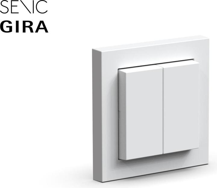 Immagine prodotto Senic Friends of Hue