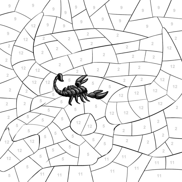 Produktbild Malen nach Zahlen