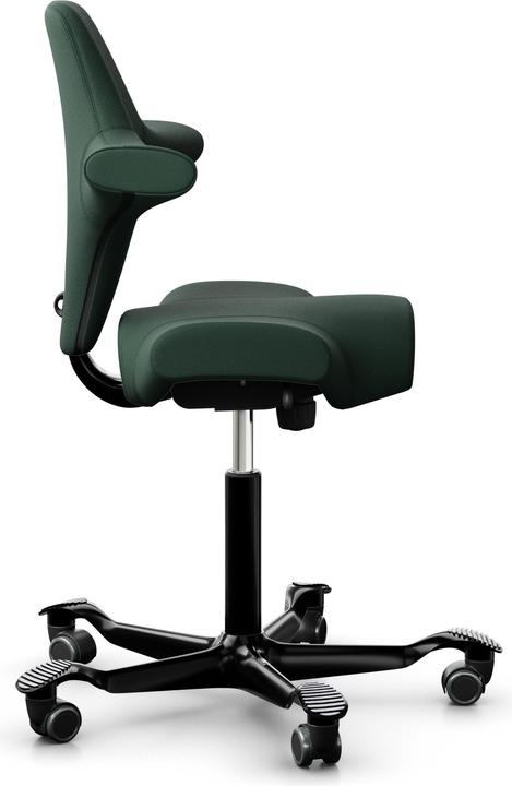 Actual product image HAG Capisco 8106 Select