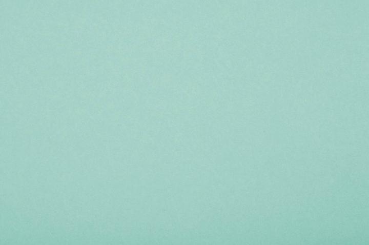 Actual product image Folia Clay cardboard, (W)500 x (H)700 mm, 220 gsm, mint (220 g/m², 10x)