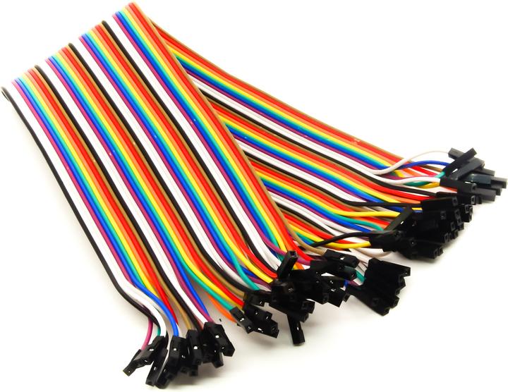 Purecrea Câble de jumper Dupont Set 30cm F/F 40 pièces (Cordes)