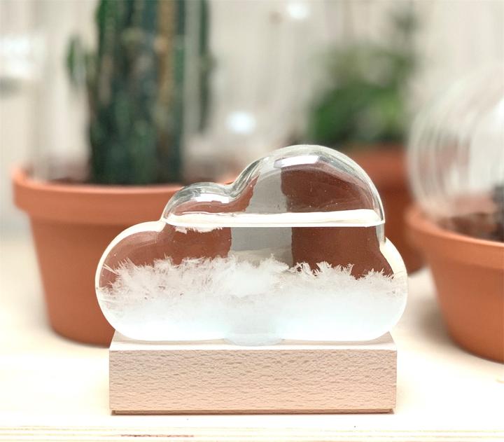 Produktbild Bitten Storm Cloud Weather Predictor