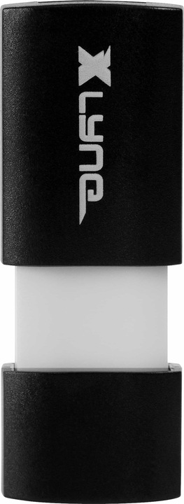 Produktbild Xlyne Wave (256 GB, USB 3.2)