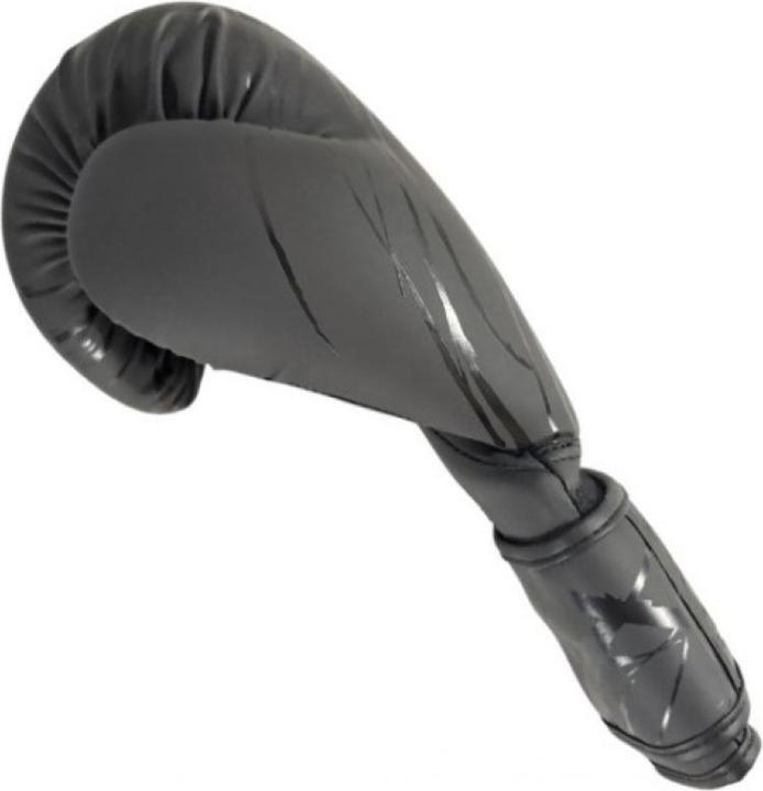 Image du produit Masters Gants de boxe RPU-COLOR/COLOR (14 OZ, 12)
