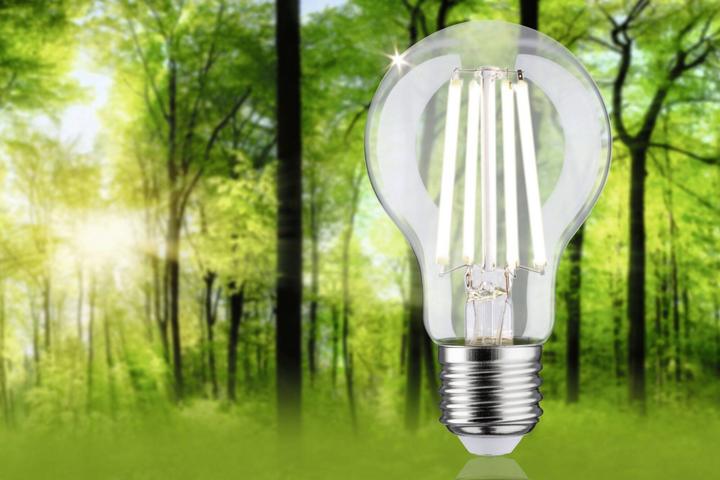 Produktbild Paulmann AGL Eco-Line (E27, 840 lm, 1 x)