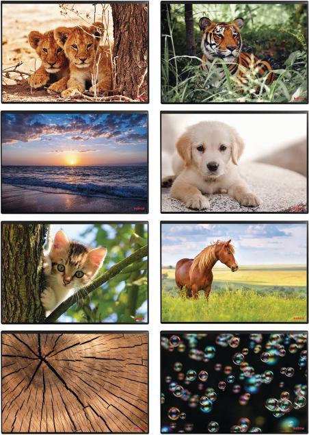 Produktbild Kolma Schreibunterlage Poster (Löwe) 50 x 34 (50 x 34 cm)