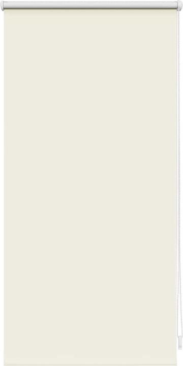 Image du produit vidaXL Rollo (40 x 100 cm)